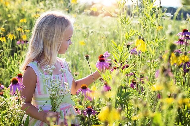 お花畑の中の少女